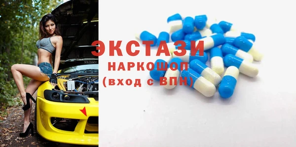 мдпв Новозыбков