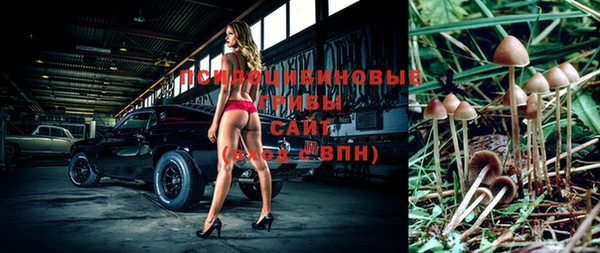 прущие крисы Алексеевка