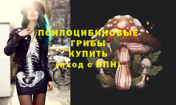 прущие крисы Алексеевка
