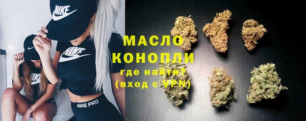 мдпв Новозыбков